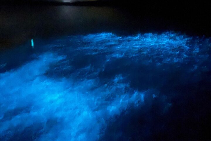 Unforgettable One Day Bioluminescent Kayak Adventure in Vieques