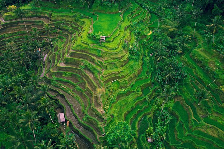 Ubud Private Tour: Waterfalls, Temple and Rice Terraces Swing