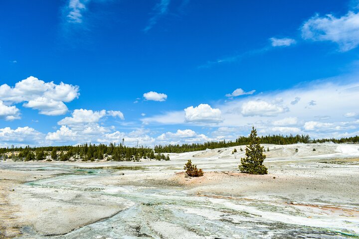 3-Day Yellowstone, Grand Teton and Jackson Hole Guided Tour