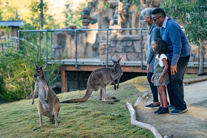 San Diego Zoo 1-Day Pass: Any Day Ticket