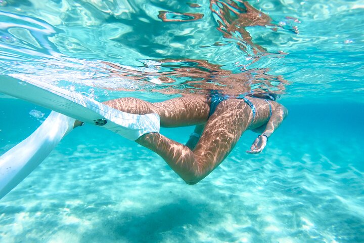 Miyakojima 《Encounter rate 100% ongoing》 [Sea Turtle & Clownfish Snorkeling] No additional fee｜Full refund guarantee｜1 year old OK｜Free rental and photography