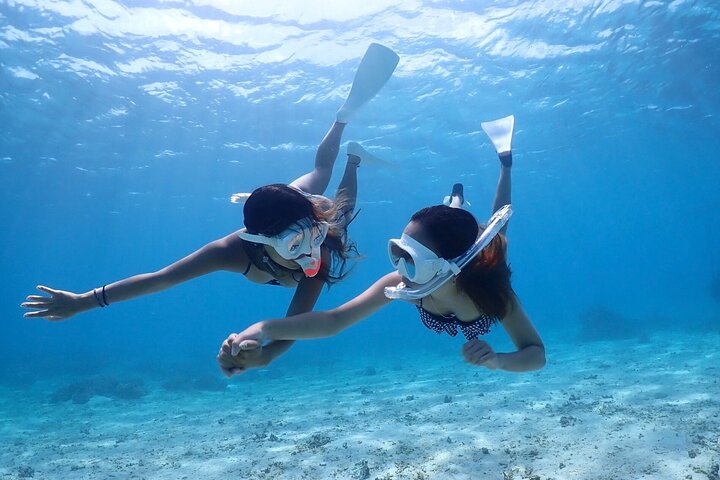 Miyakojima 《Encounter rate 100% ongoing》 [Sea Turtle & Clownfish Snorkeling] No additional fee｜Full refund guarantee｜1 year old OK｜Free rental and photography