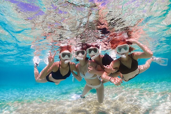Miyakojima 《Encounter rate 100% ongoing》 [Sea Turtle & Clownfish Snorkeling] No additional fee｜Full refund guarantee｜1 year old OK｜Free rental and photography