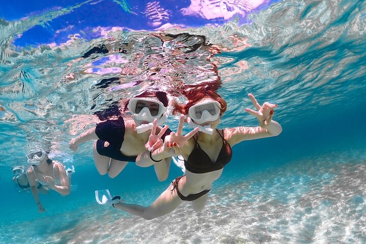 Miyakojima 《Encounter rate 100% ongoing》 [Sea Turtle & Clownfish Snorkeling] No additional fee｜Full refund guarantee｜1 year old OK｜Free rental and photography