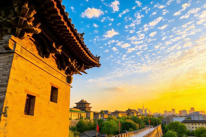 Zhengzhou Private Trip to Xi'an Terracotta Warriors & City Wall by Bullet Train