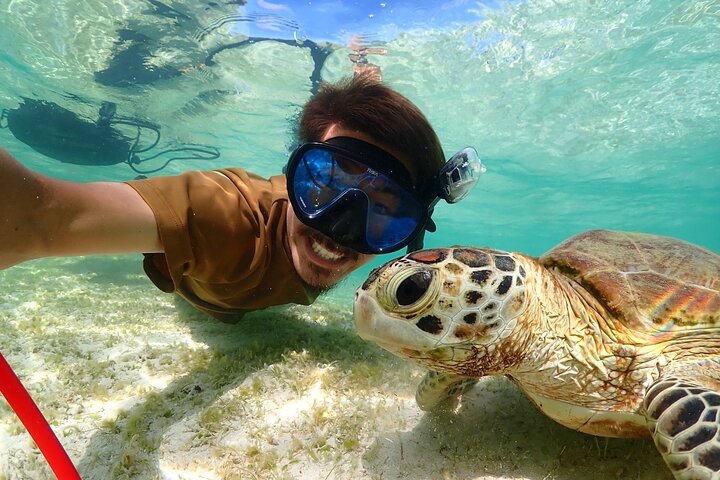 Miyakojima 《Encounter rate 100% ongoing》 [Sea Turtle & Clownfish Snorkeling] No additional fee｜Full refund guarantee｜1 year old OK｜Free rental and photography