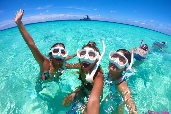 Miyakojima 《Encounter rate 100% ongoing》 [Sea Turtle & Clownfish Snorkeling] No additional fee｜Full refund guarantee｜1 year old OK｜Free rental and photography