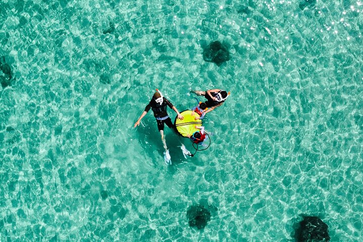 Miyakojima 《Encounter rate 100% ongoing》 [Sea Turtle & Clownfish Snorkeling] No additional fee｜Full refund guarantee｜1 year old OK｜Free rental and photography
