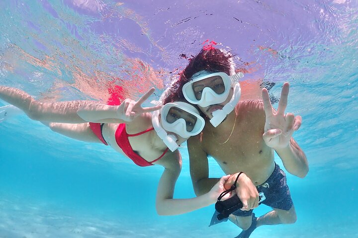 Miyakojima 《Encounter rate 100% ongoing》 [Sea Turtle & Clownfish Snorkeling] No additional fee｜Full refund guarantee｜1 year old OK｜Free rental and photography