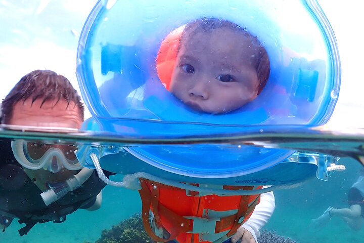 Miyakojima 《Encounter rate 100% ongoing》 [Sea Turtle & Clownfish Snorkeling] No additional fee｜Full refund guarantee｜1 year old OK｜Free rental and photography