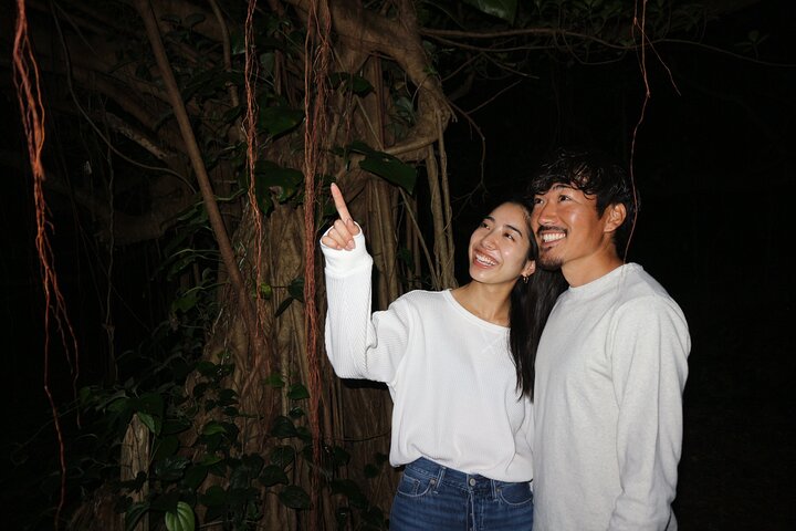 Pick-up and drop-off consultation available MIYAKO ISLAND Starry Sky and Jungle Exploration Night Safari Tour