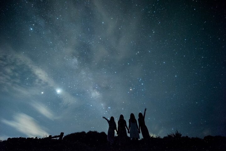Pick-up and drop-off consultation available MIYAKO ISLAND Starry Sky and Jungle Exploration Night Safari Tour