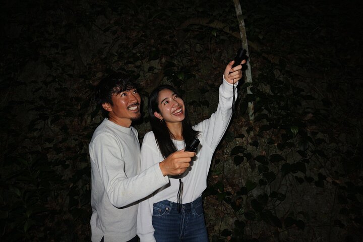 Pick-up and drop-off consultation available MIYAKO ISLAND Starry Sky and Jungle Exploration Night Safari Tour