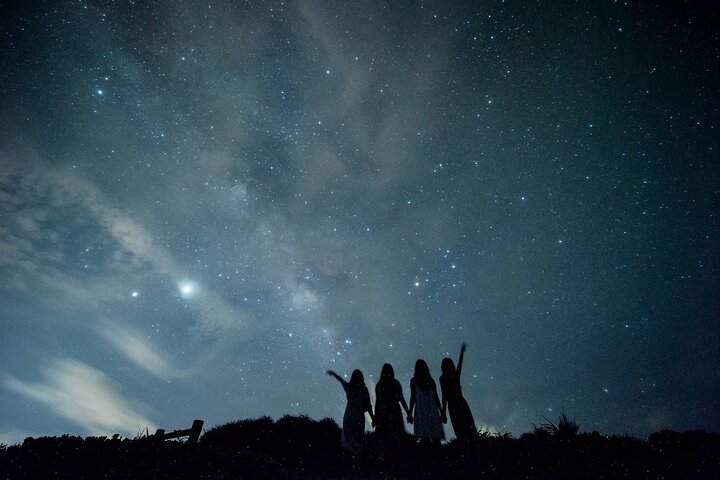 Pick-up and drop-off consultation available MIYAKO ISLAND Starry Sky and Jungle Exploration Night Safari Tour