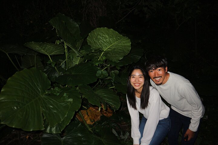 Pick-up and drop-off consultation available MIYAKO ISLAND Starry Sky and Jungle Exploration Night Safari Tour