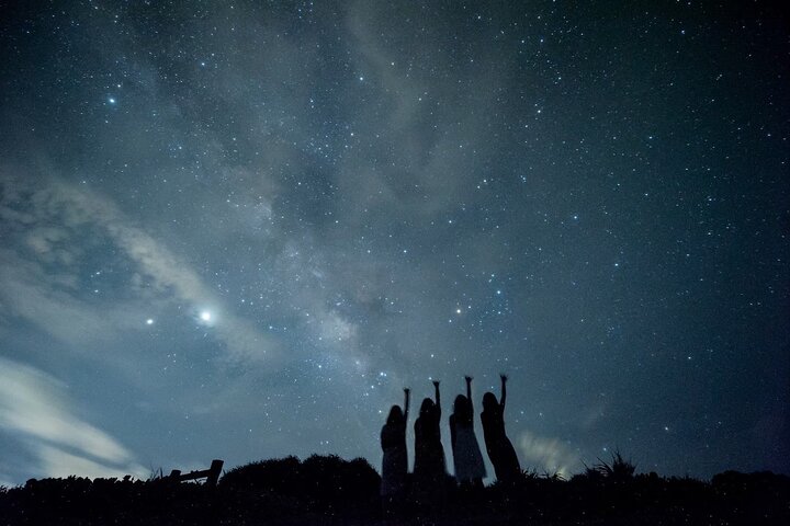 Pick-up and drop-off consultation available MIYAKO ISLAND Starry Sky and Jungle Exploration Night Safari Tour
