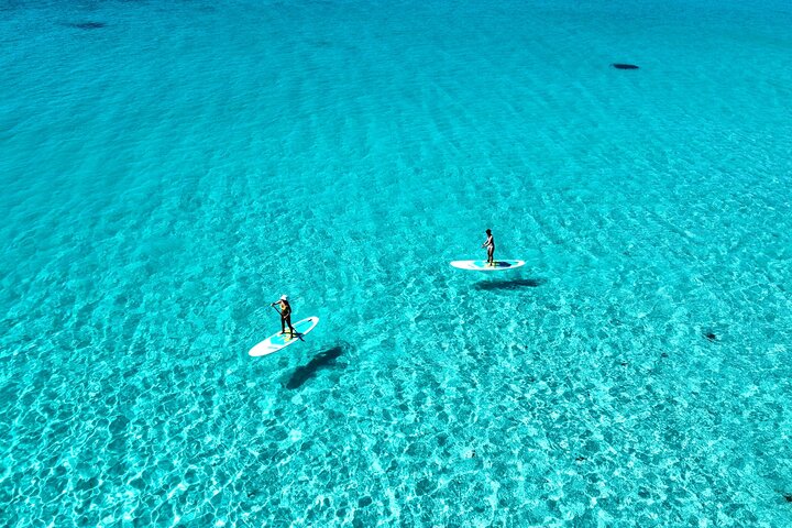 Miyakojima Standard Plan [SUP & Sea Turtle Snorkel] No extra charge｜Full refund guarantee｜Free rental and photos｜1 year old ~ OK｜Empty handed