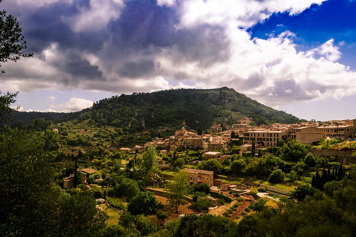 Mallorca tour in luxury van in small group min.4/max.6 People