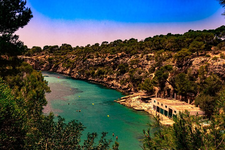 Mallorca tour in luxury van in small group min.4/max.6 People
