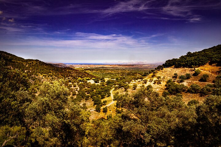 Mallorca tour in luxury van in small group min.4/max.6 People