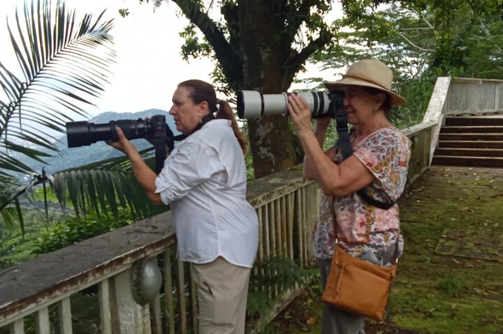 Samoa Full Day Bird Watching Tour with Local Guides