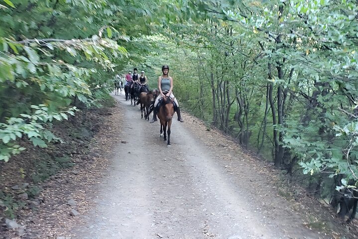Horse Riding Tour Across the Dzoraget Canyon