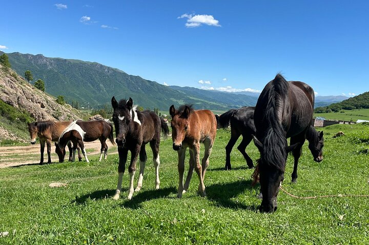 Horseback Riding Around Tsovakar Mountain