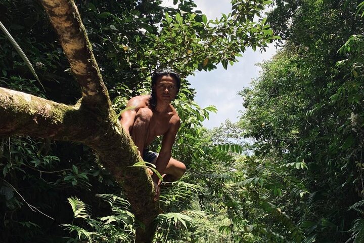 Jungle experiences, 3 days 2 nights