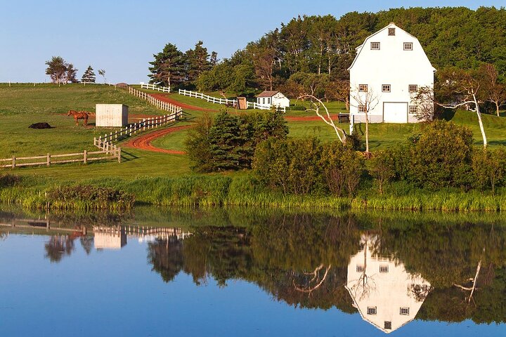 Luxury Anne of Green Gables Private Tour by Cyril Up to 6 Guests