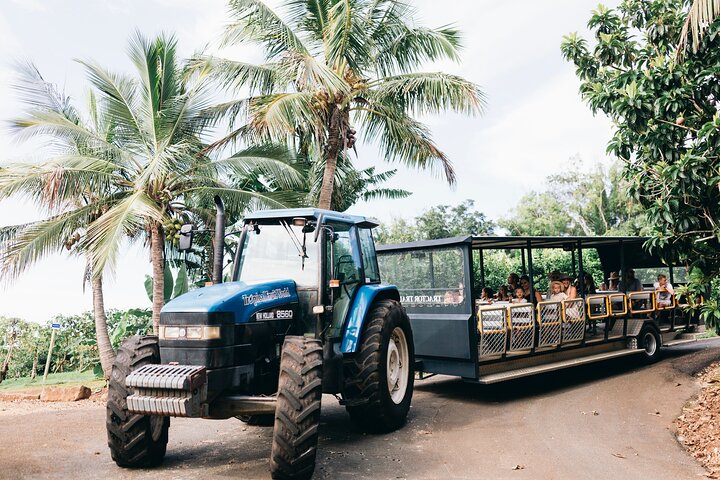 Tropical Fruit World Farm Full Tour