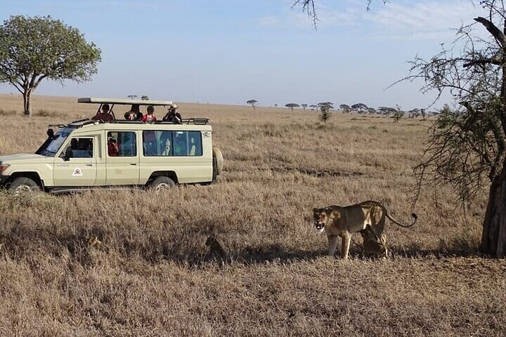 3 Days Maasai Mara Guided Safari from Nairobi