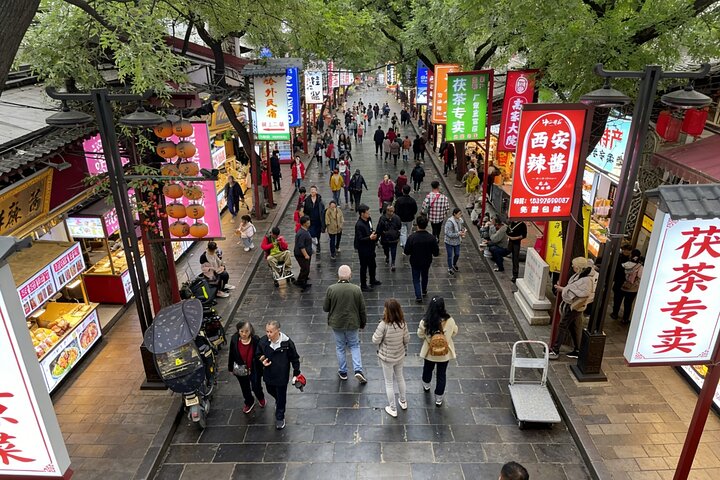 Zhengzhou Private Trip to Xi'an Terracotta Warriors & City Wall by Bullet Train
