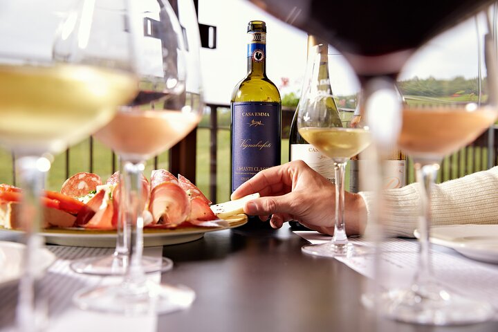Organic Wine Tour&Tasting overlooking Chianti Classico Vineyards