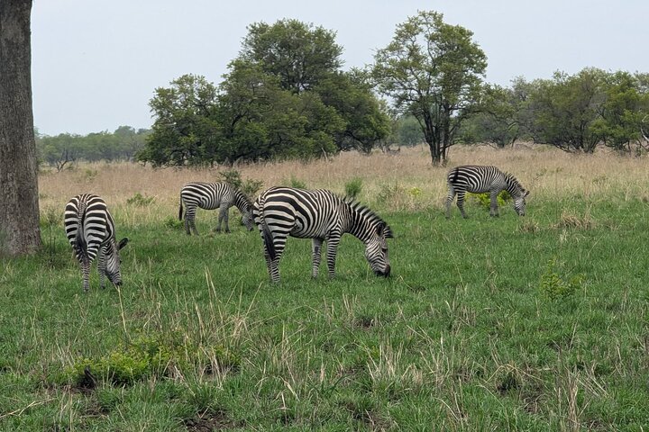 3 Days 2 Night Safari in Mikumi.