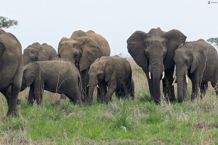 3 Days 2 Night Safari in Mikumi.