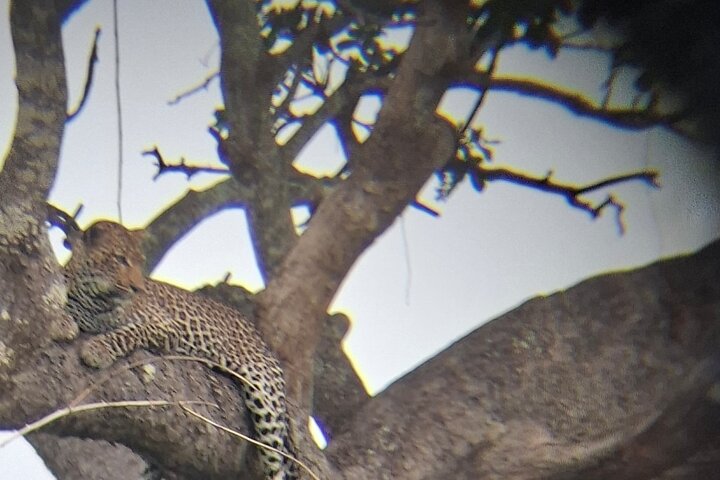 3 Days 2 Night Safari in Mikumi.