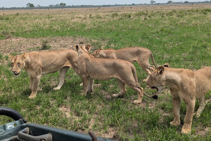 3 Days 2 Night Safari in Mikumi.