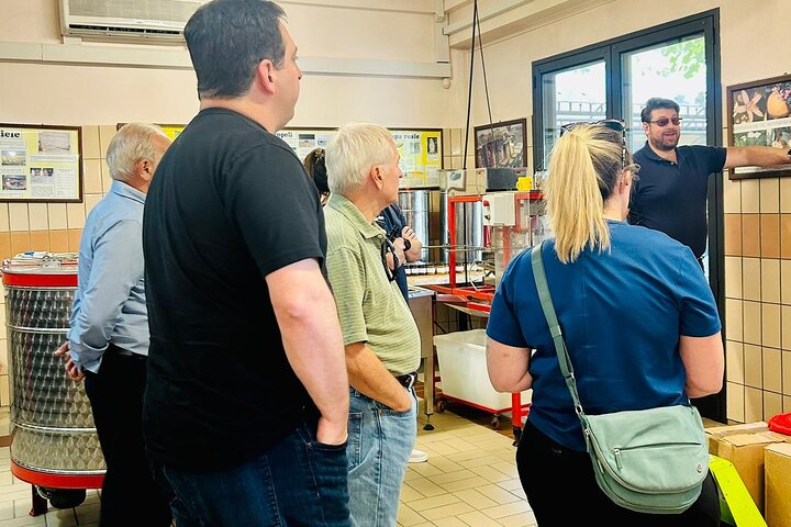 Volcano Etna Tour Wine Tasting Lunch in the Cellar Transfer