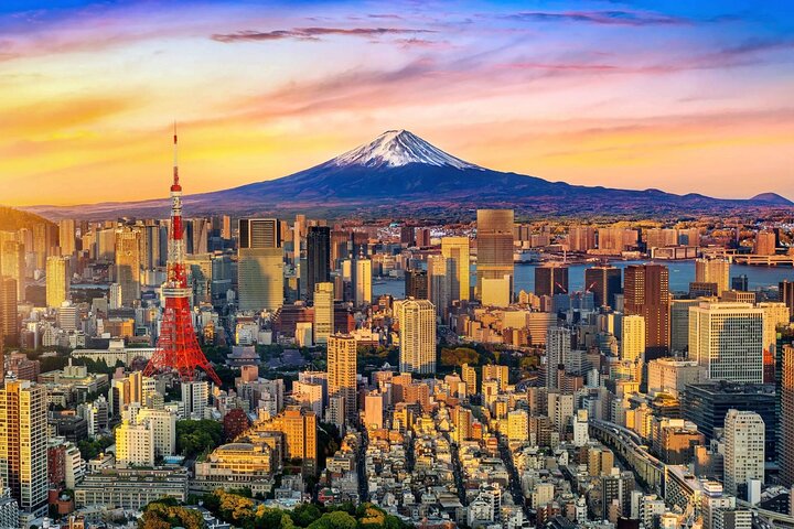 Tokyo Private Tour by Car with English-Speaking Driver (Premium)