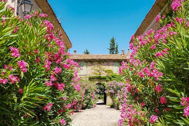 Discover Occitanie and the surroundings