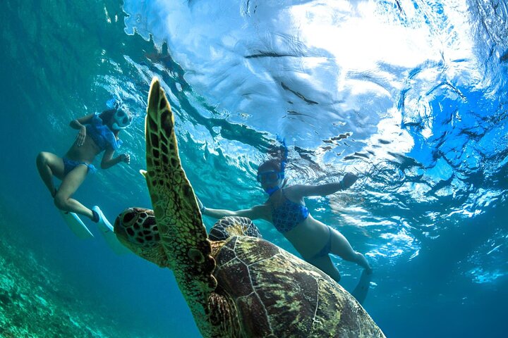 Swim with Turtles and Dugong Snorkeling at Marsa Mubarak Bay