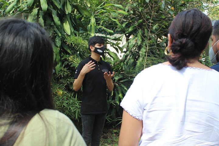 Tour with Certified Guide to Xalapa, Xico and Coatepec