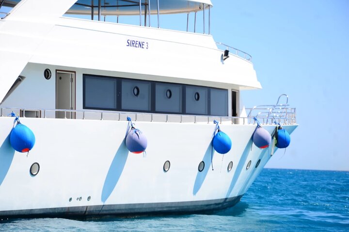 Swim with Turtles and Dugong Snorkeling at Marsa Mubarak Bay