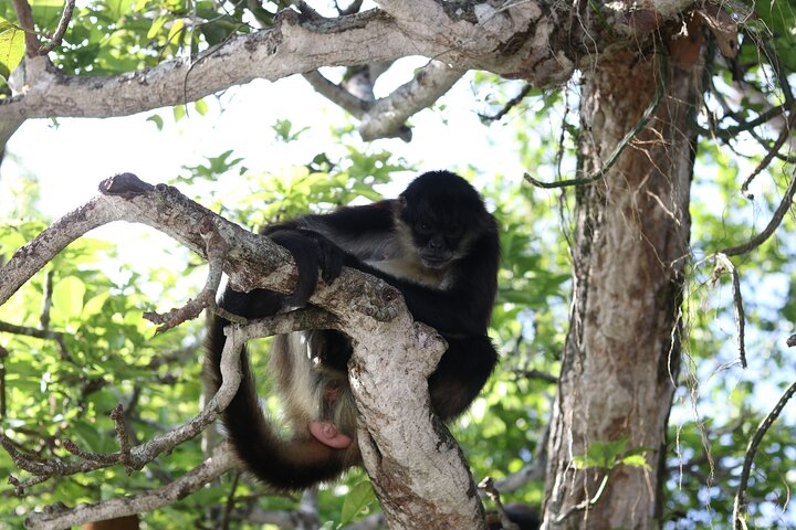 Full Day Tour to Catemaco and Los Tuxtlas with Transportation