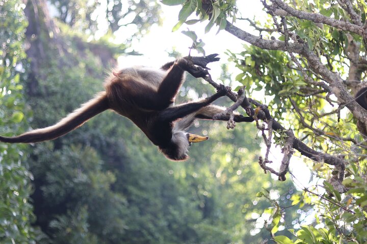Full Day Tour to Catemaco and Los Tuxtlas with Transportation