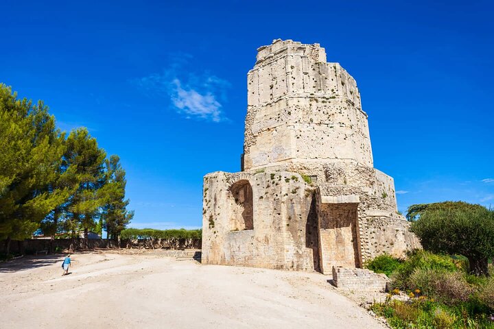 Hello Nîmes: Private 2-Hour Intro City Walk with Local Guide