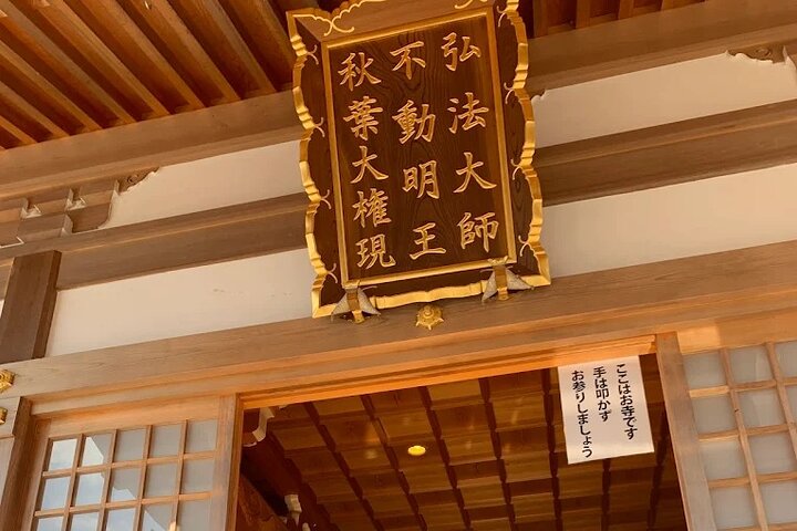 Guided Tour in Gifu Great Buddhist Statue Golden Gate Shrine