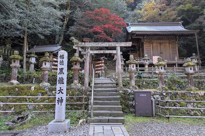 Guided Tour in Gifu Great Buddhist Statue Golden Gate Shrine