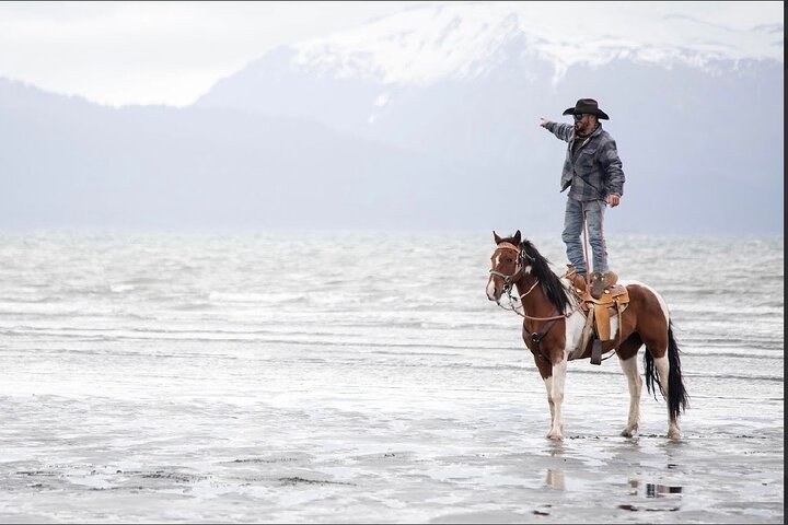Beach Horse Riding Experience in Homer