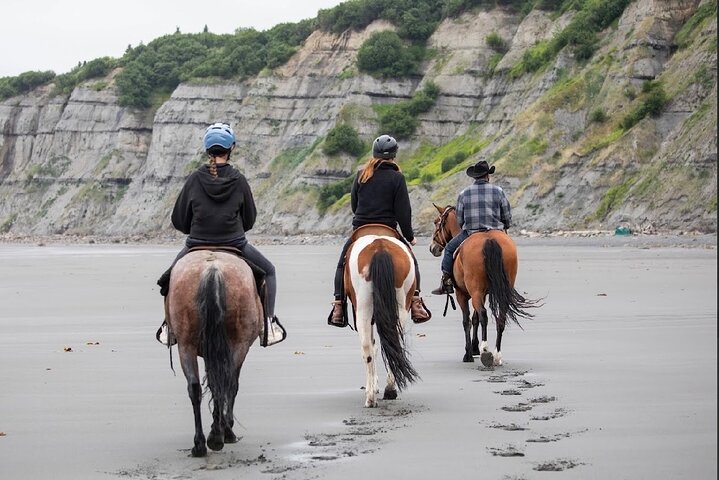 Beach Horse Riding Experience in Homer
